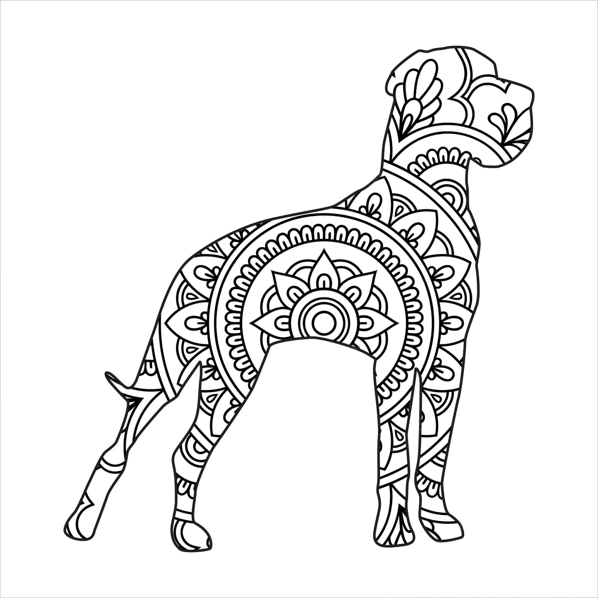 Mandalas Chien 13